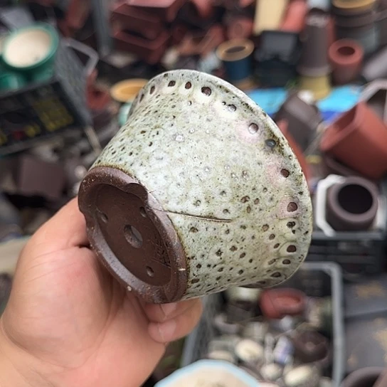 一哈来我这儿吃饭啊亲爱的媳妇