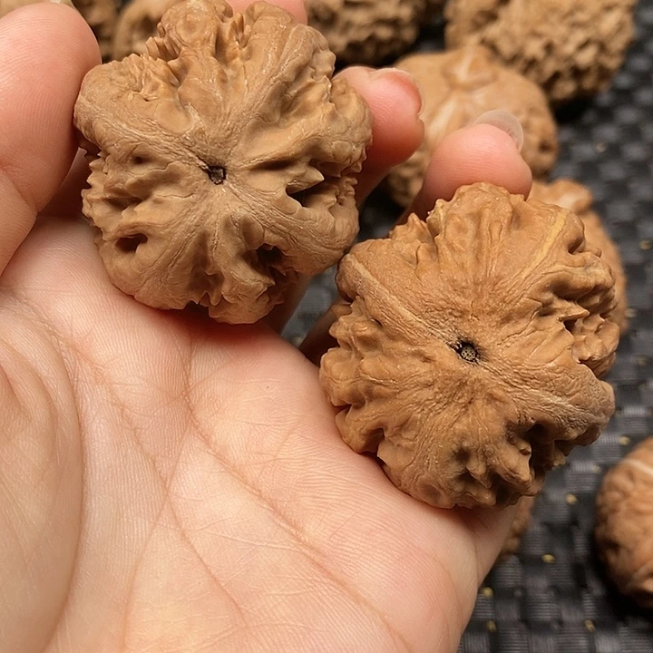 文玩核桃把件霸王龙44