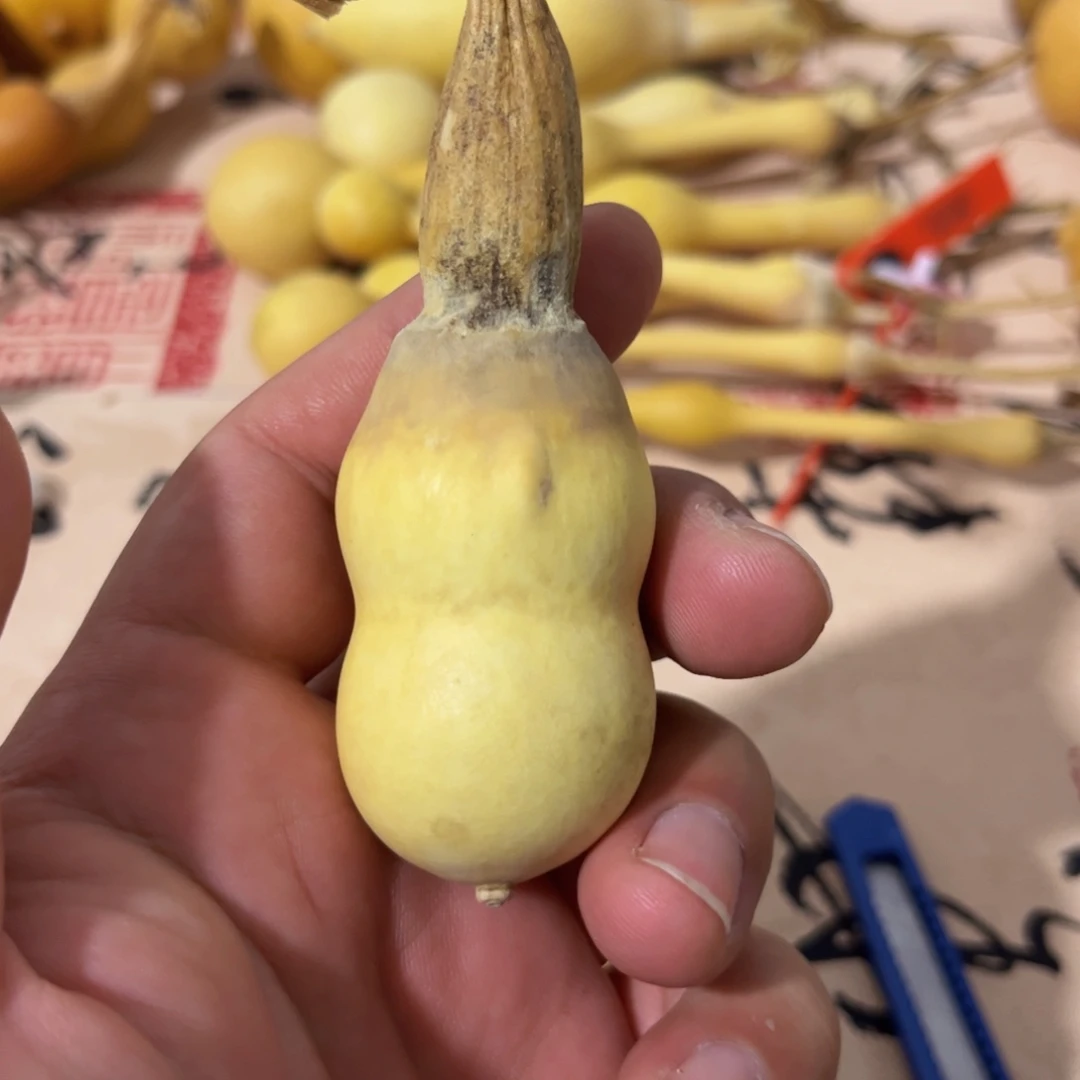 东***牛文玩葫芦吊坠项链