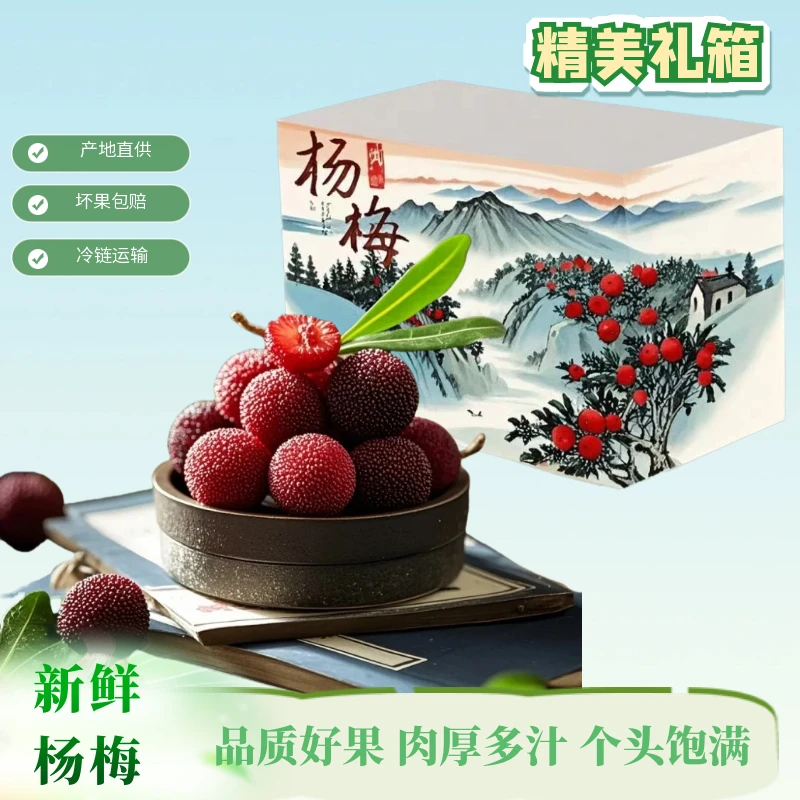 【次日达】杨梅当天现采浮宫杨梅孕妇水果酸甜可口果园直发