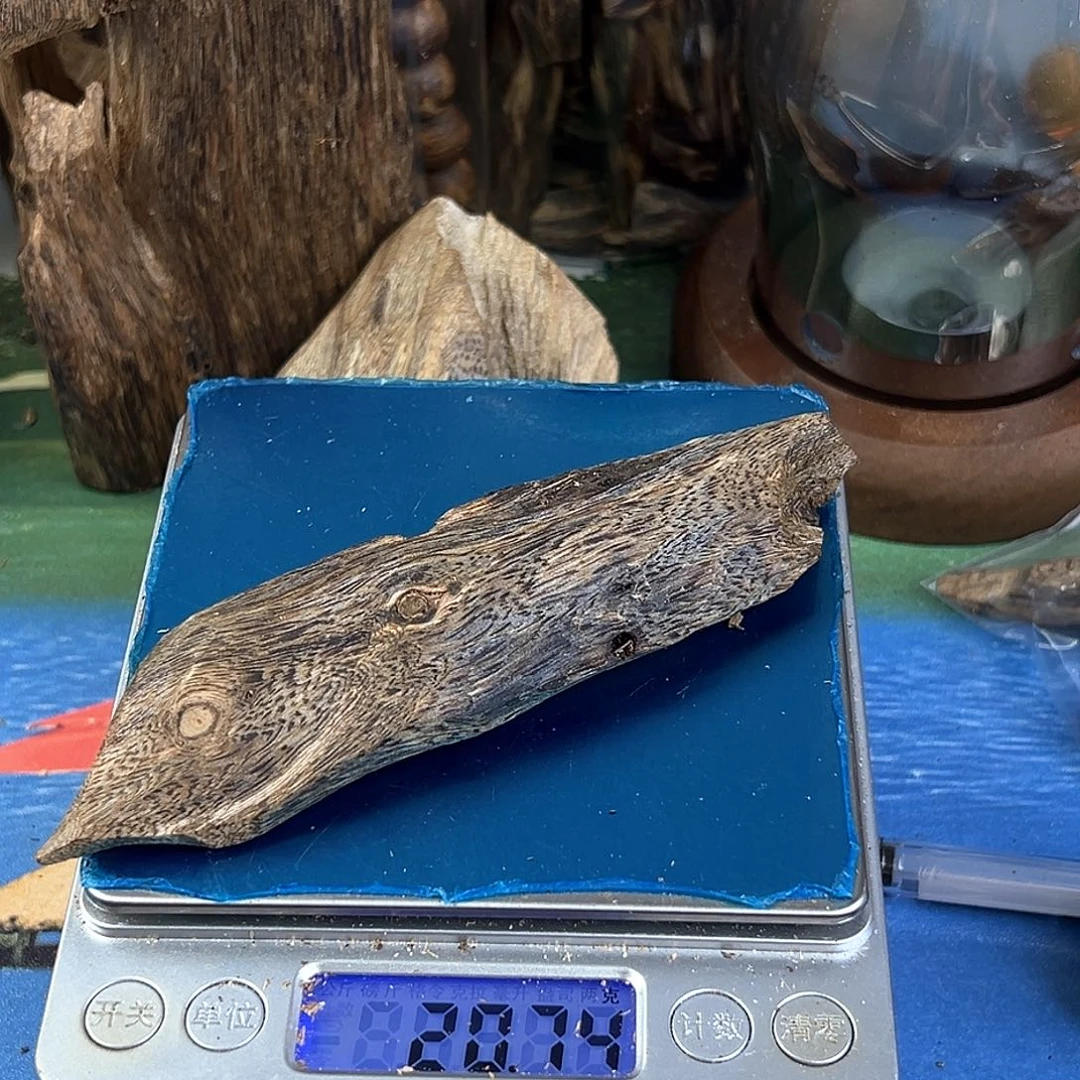 香料绿奇楠虫漏乌身圆叶20克