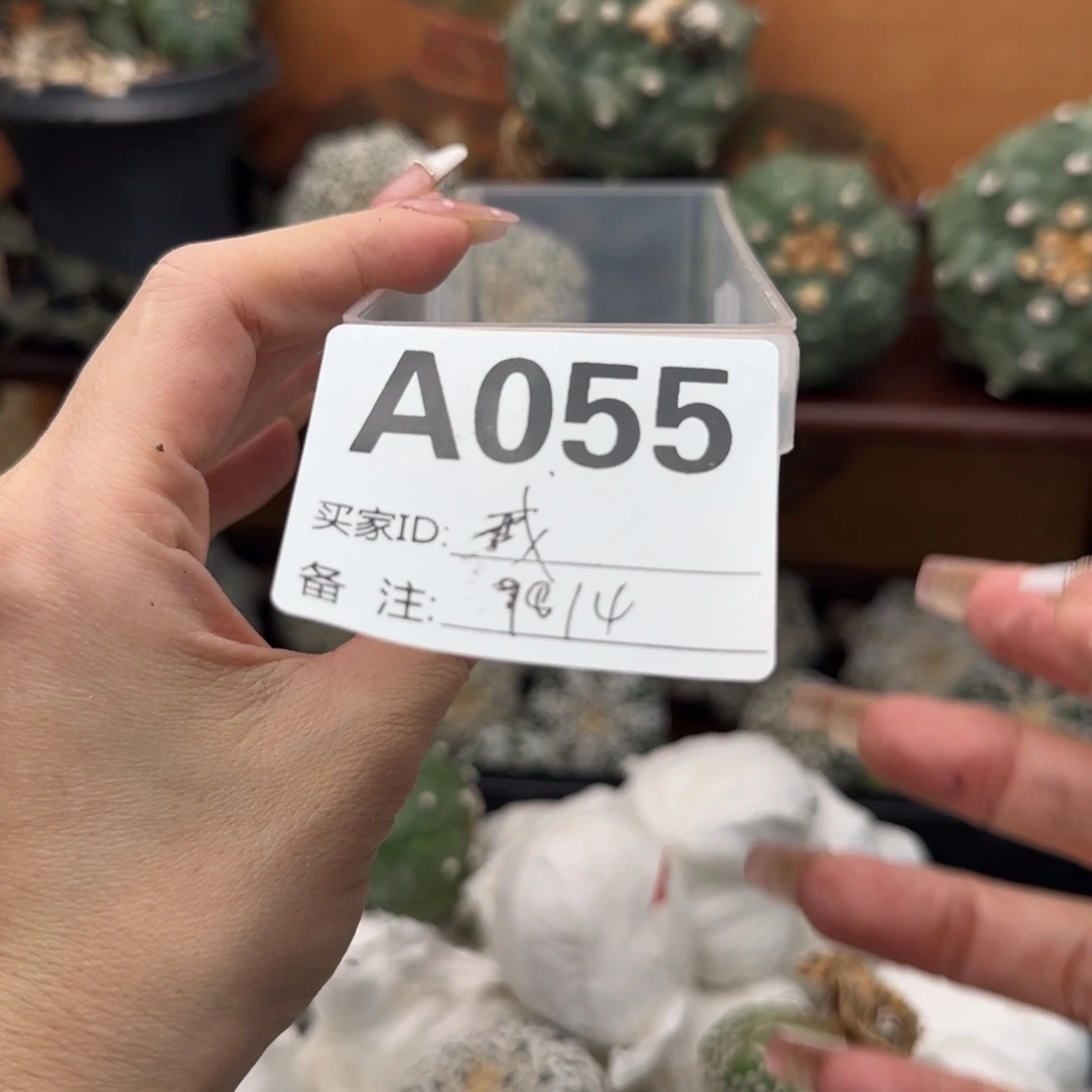 盲盒不退不换退单拉黑
