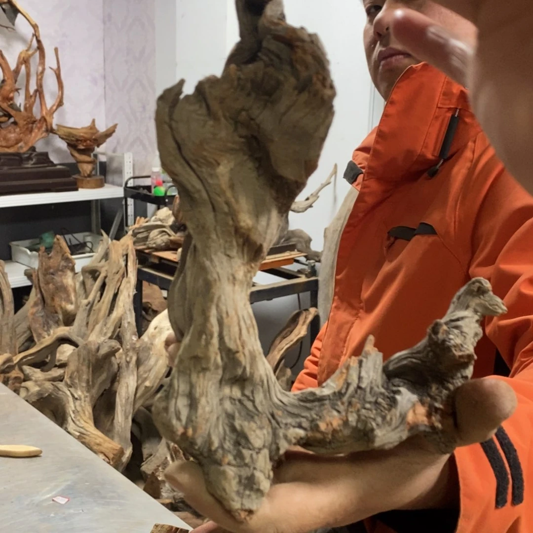 柏木水**家我们都是好孩子