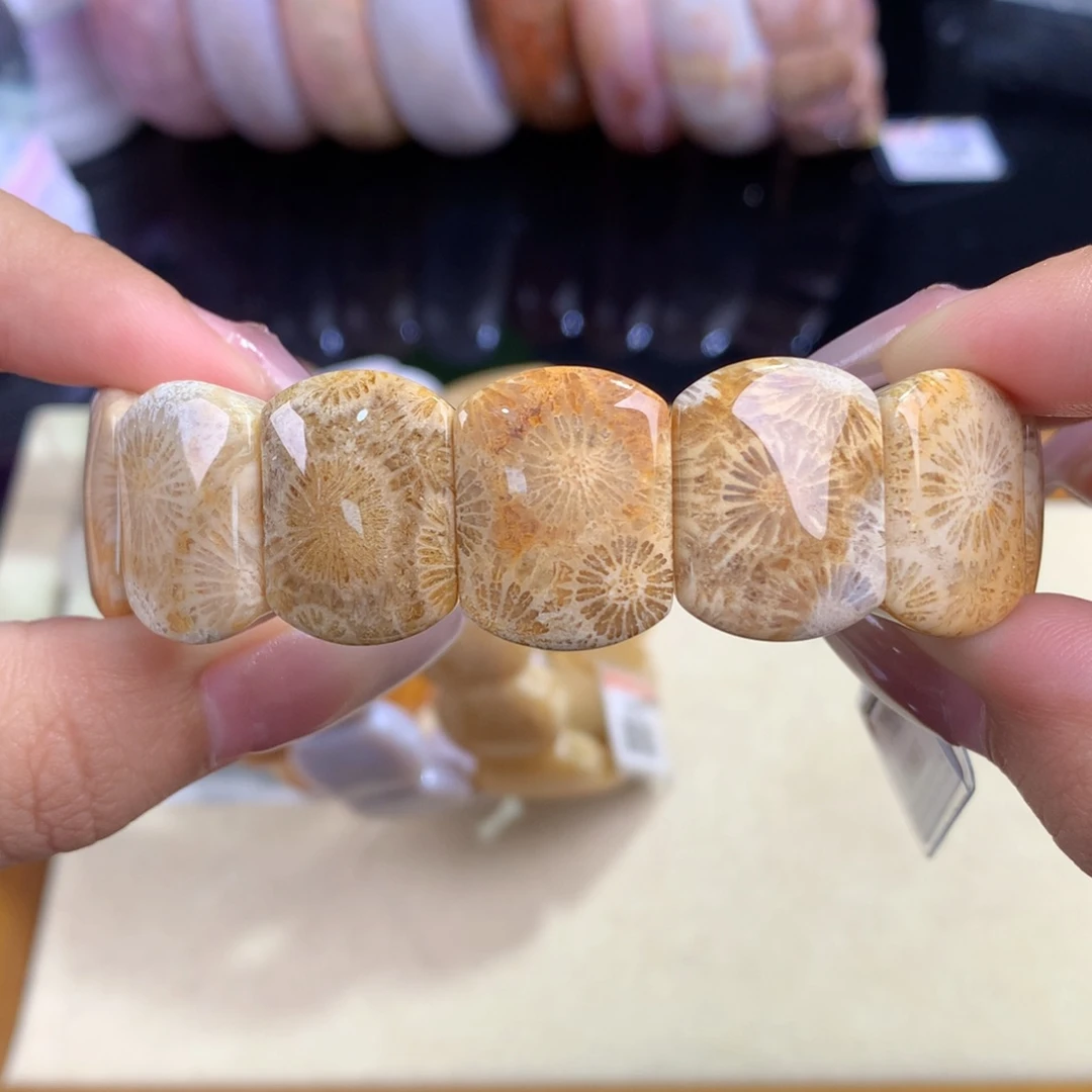 硅化珊瑚（珊瑚玉）未镶嵌吊坠(赠链)46号 大赞比