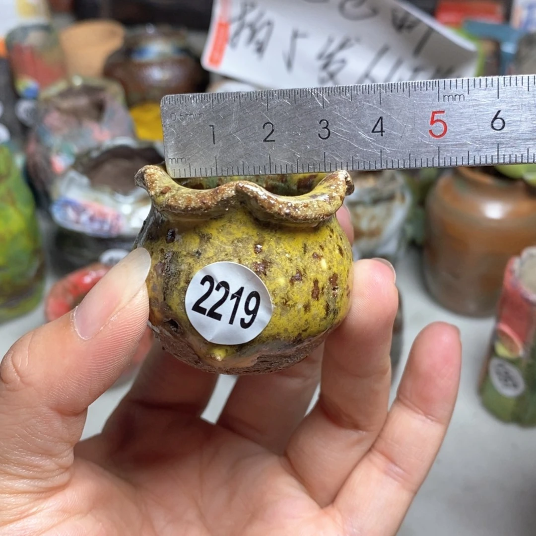 拍5送一个小礼物