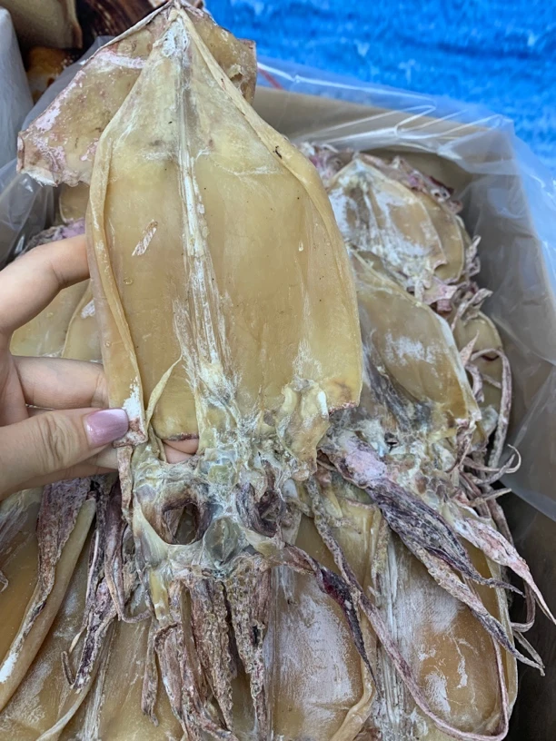 【蚝西施海味】汕尾本港吊鱿中号包邮