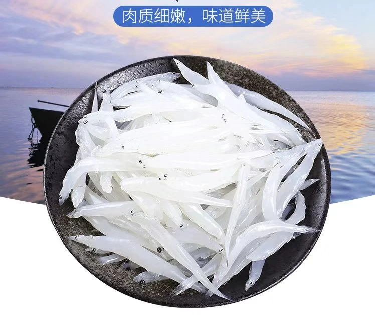 野生小银鱼，新鲜速冻，博贺渔港顺丰冷链包邮