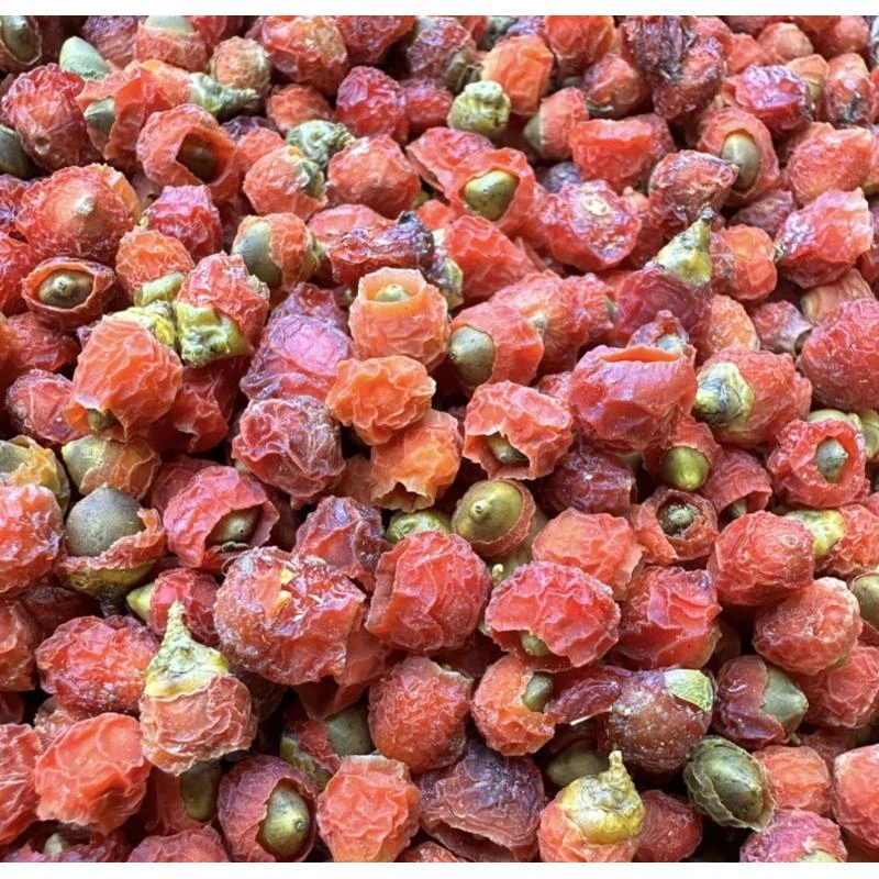 【阿甘甄选】现-收土特产 红-豆-杉-果 净含量：250/500g------非