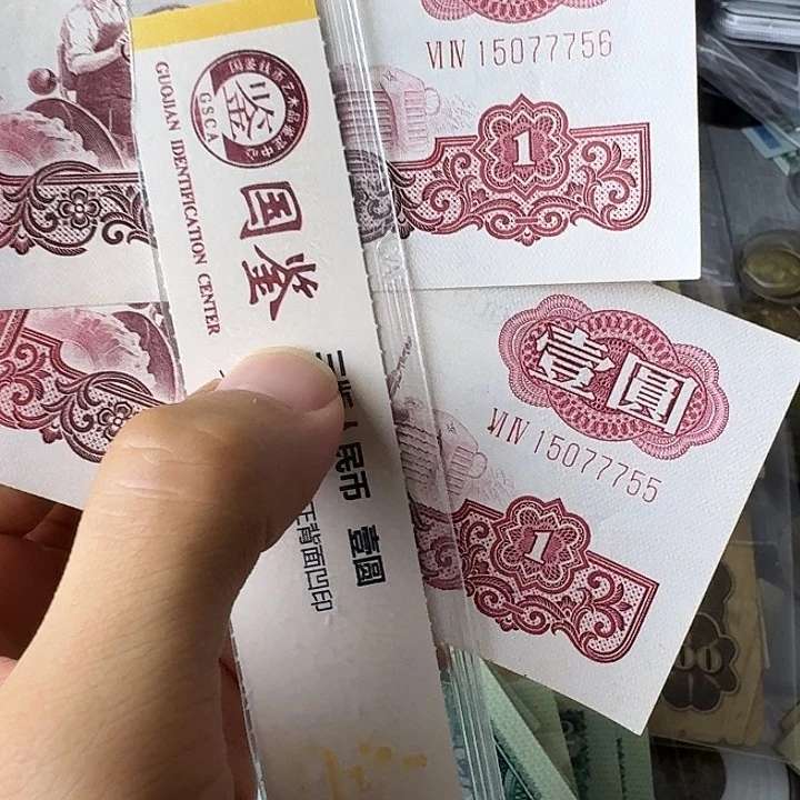 原票豹子身56……………………
