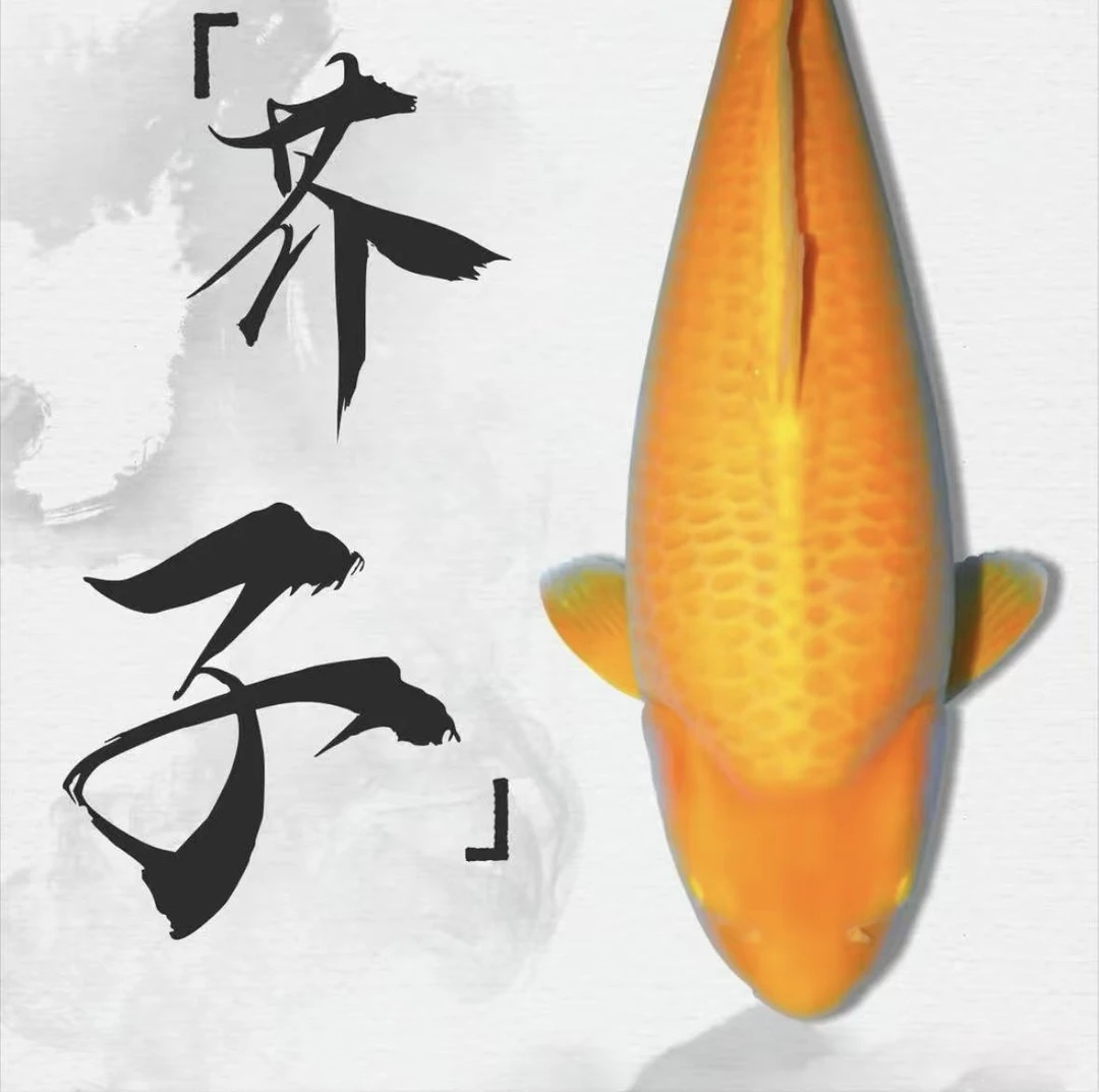 王硬硬直播专属锦鲤链接