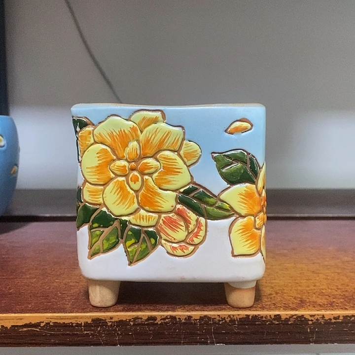 韩式多肉植物花盆