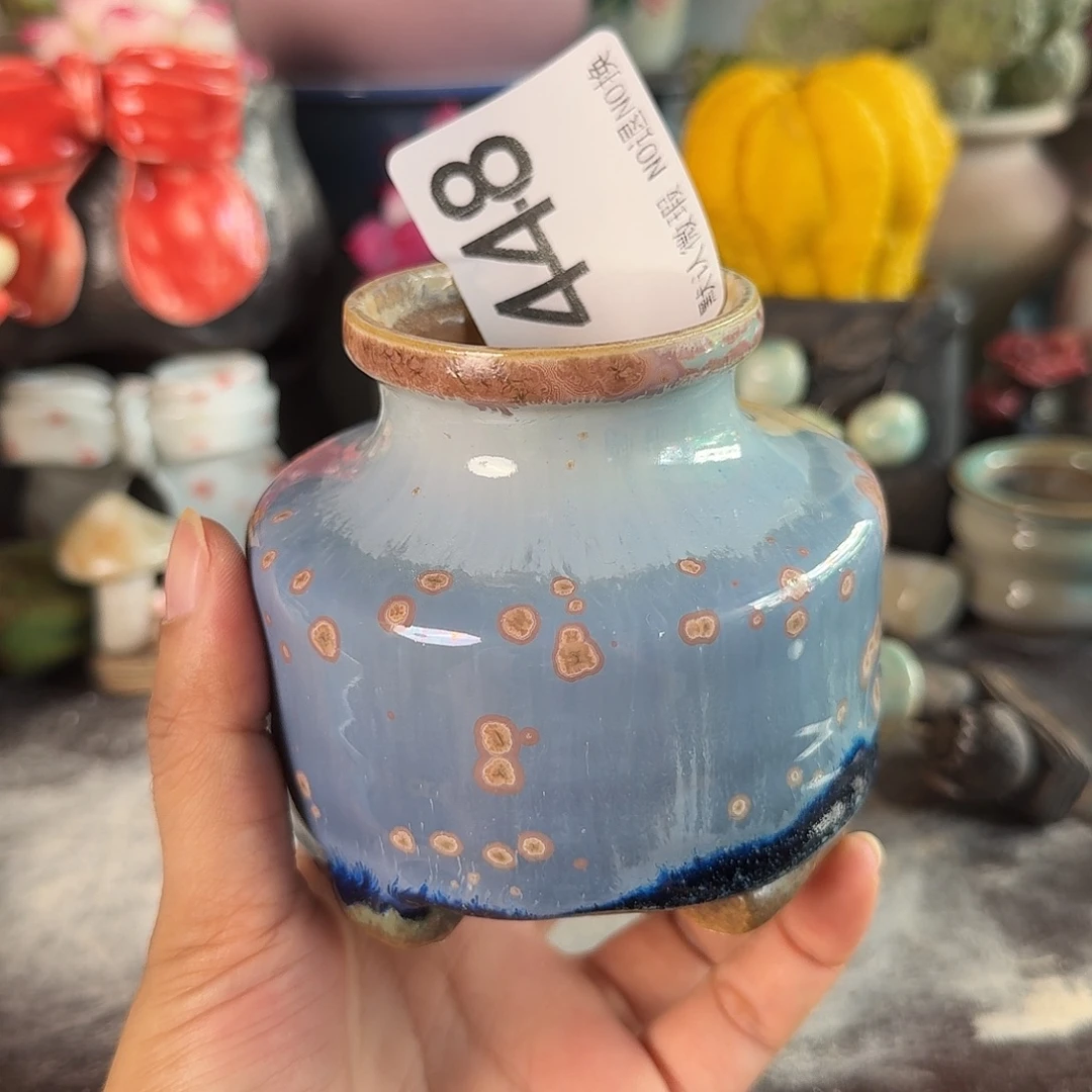 重庆小燕子欢迎大家448