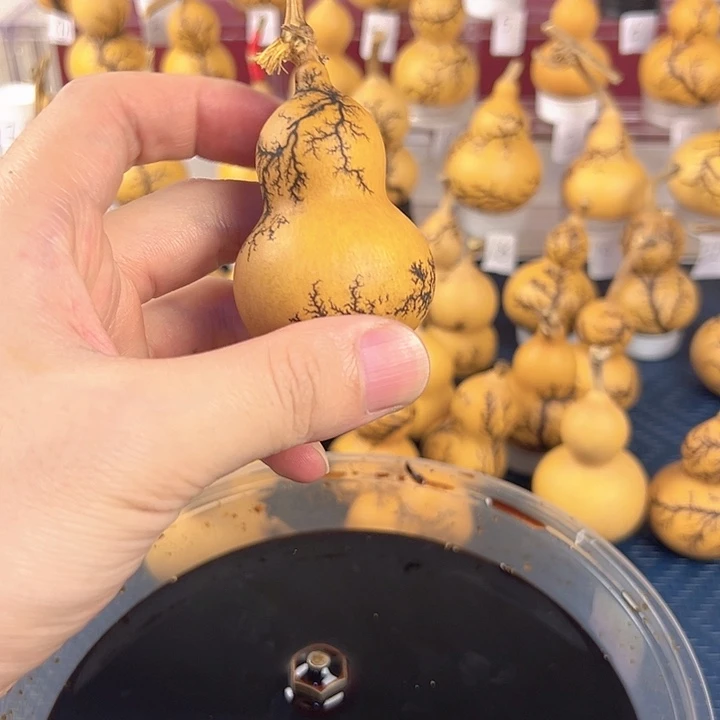 拾***礼葫芦一物一拍的所见即所得