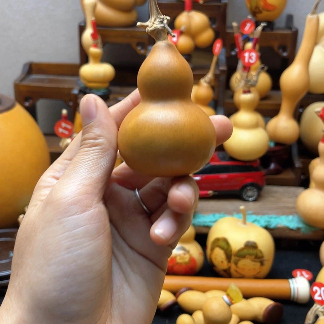 高*大自然的秘密第十一节你是