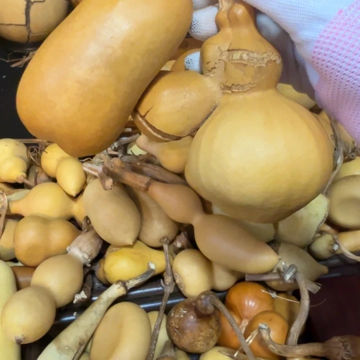 春***李啦咯啦咯啦咯啦咯啦咯啦