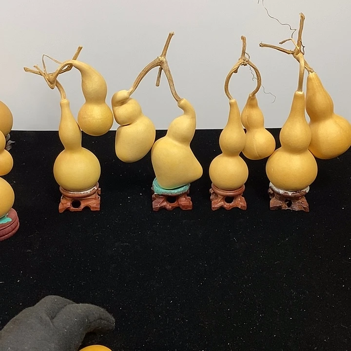 @***@哈哈哈哈哈哈哈哈哈哈哈