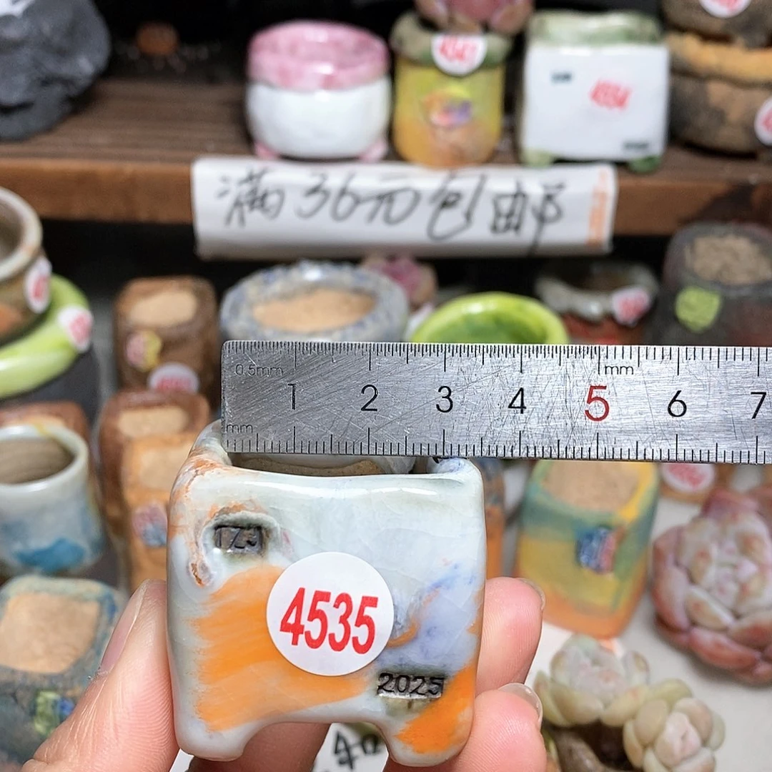 红陶拍5送一个小