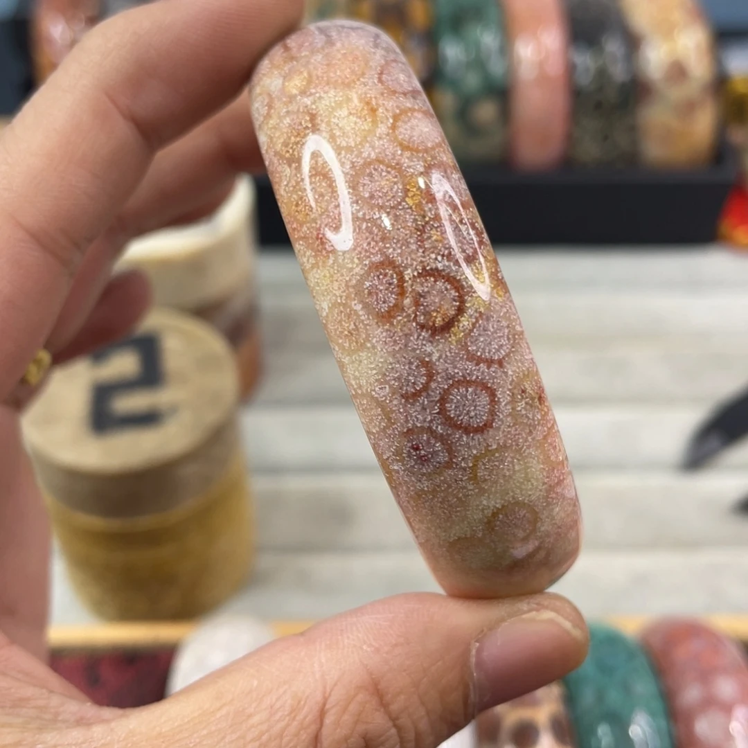 未镶嵌手镯硅化玉