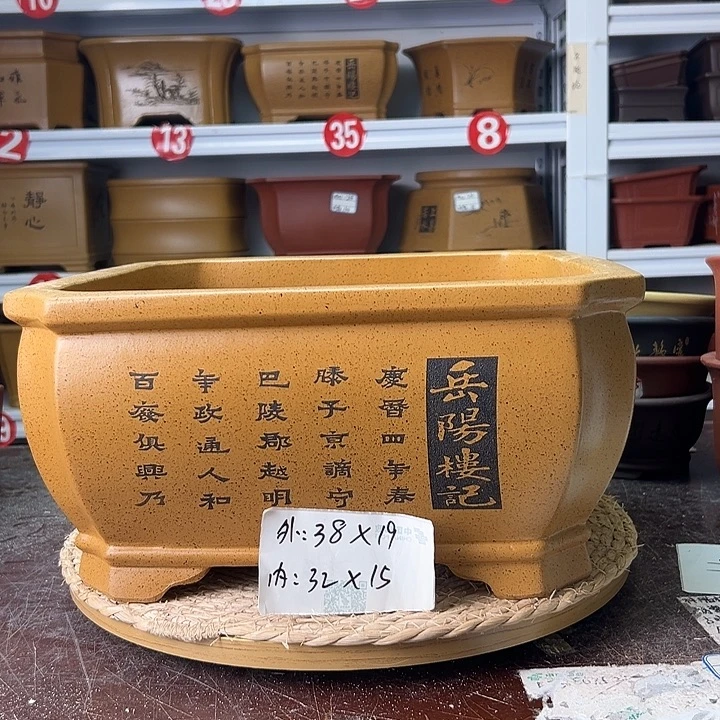 紫砂花盆蛇年大吉