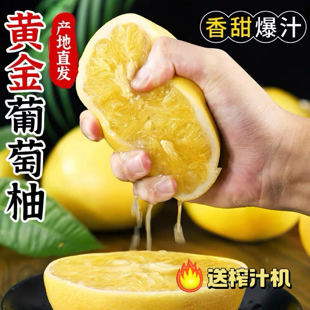 T【福建黄金葡萄柚】新鲜应季水果清甜多汁皮薄爆汁（送榨汁器）