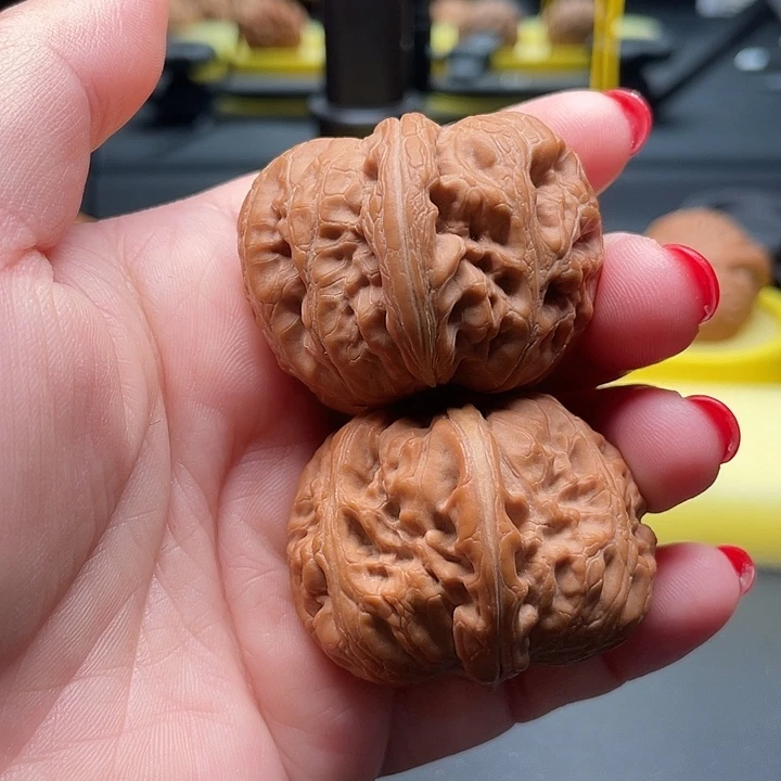 全品无修平谷元宝42