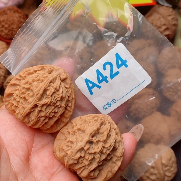 白狮子41尺全品424号