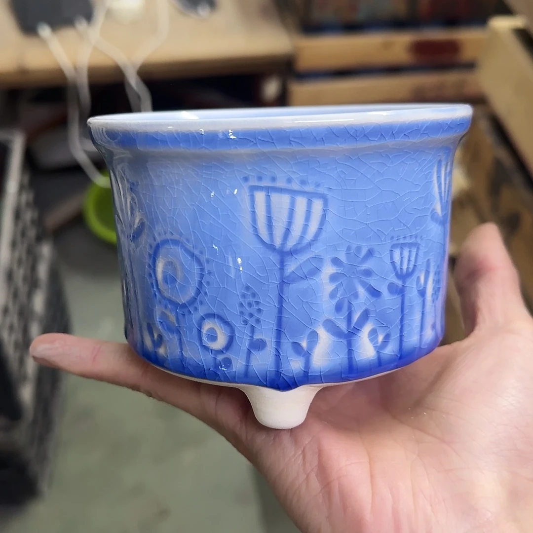 福利局绿植多肉盆［凑9元包邮24小时发］