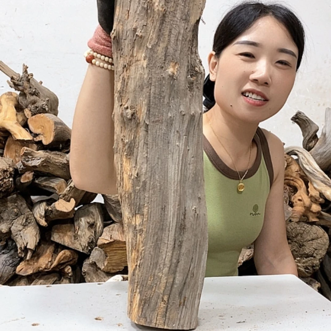 【闪购商品】柏木陳*兆我们都是好孩子