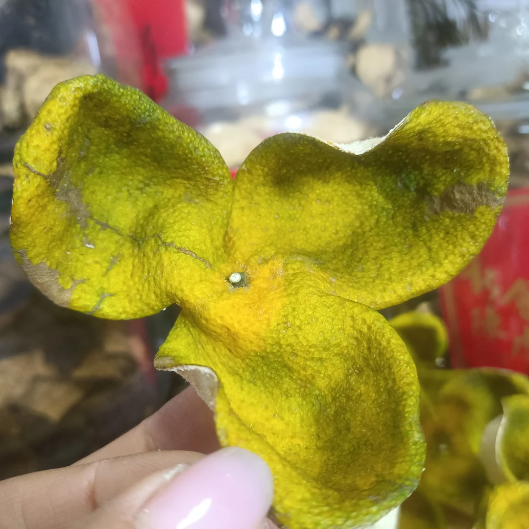 【2024梅江圈枝】冬青 冬后青 花香果香 清甜 自家果围