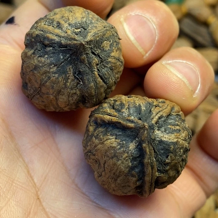 吊坠桃核娜姐我真的43