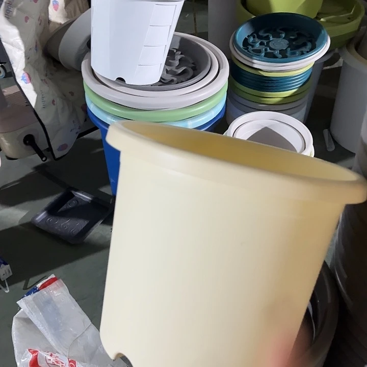 四季5号米黄无托10个特价微瑕