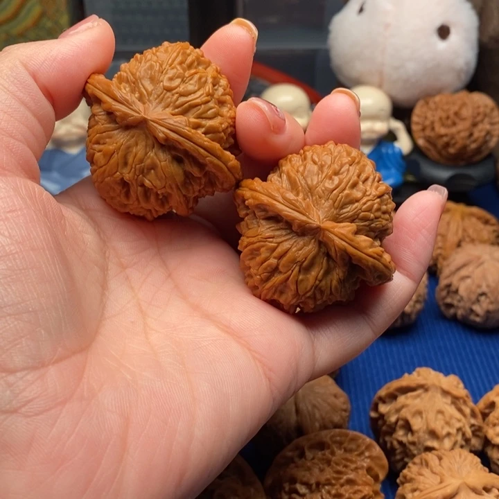 核桃45尺全品大闷白