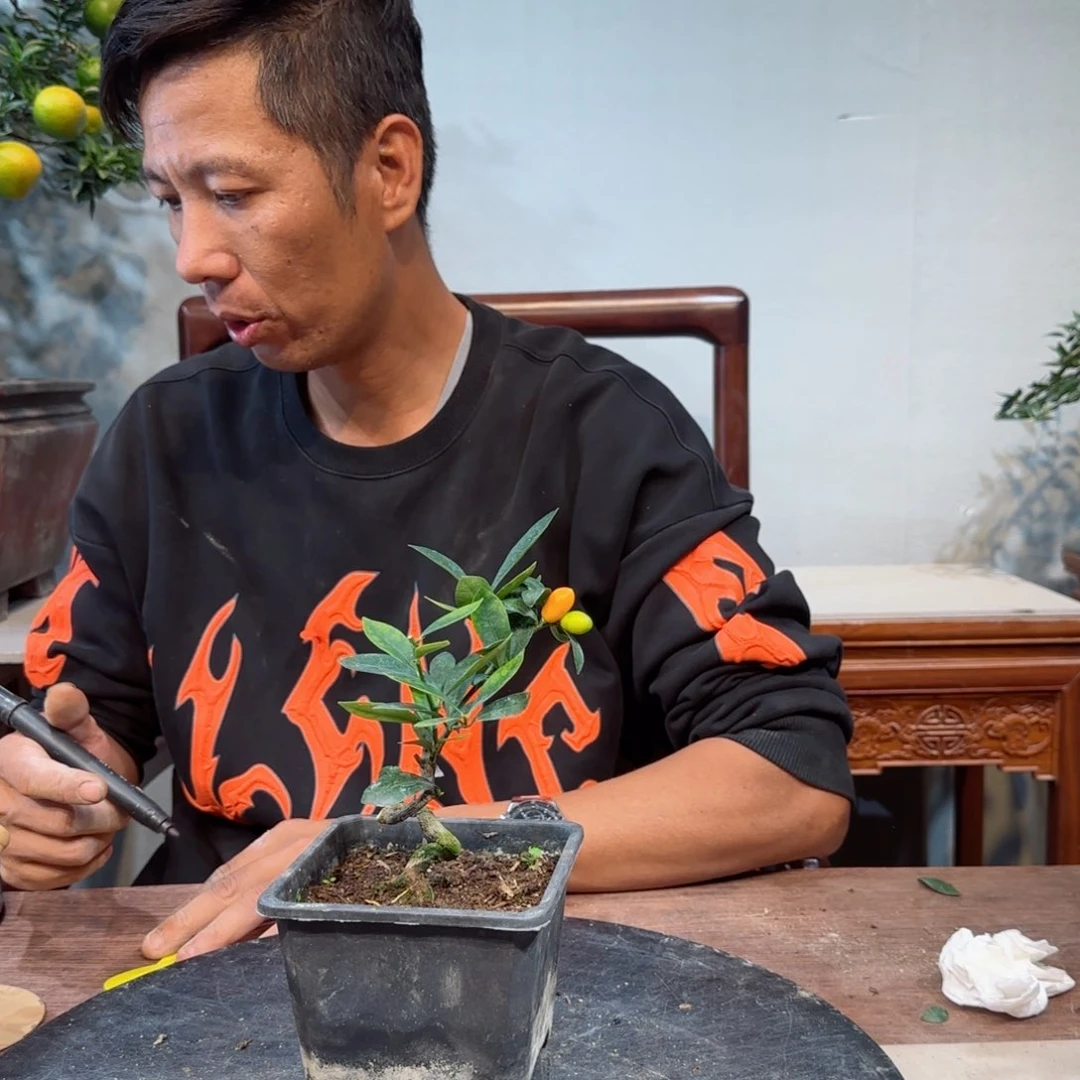 少量花朵（建议范围：2朵-5朵 或40%以下）嗷****呜