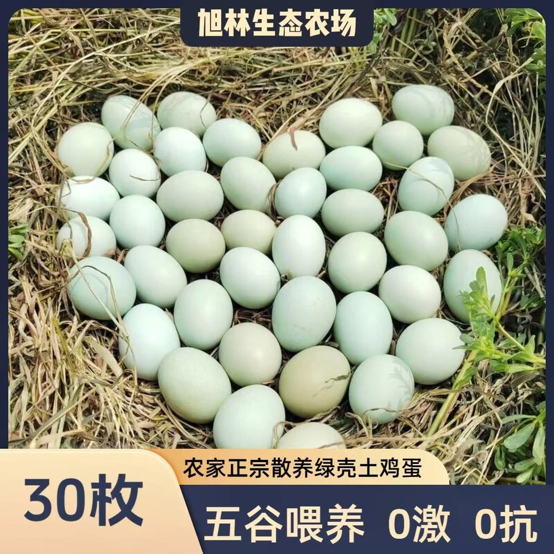 【山林散养】30枚装荔枝园散养五土鸡蛋黑鸡新鲜现捡现发绿壳鸡蛋