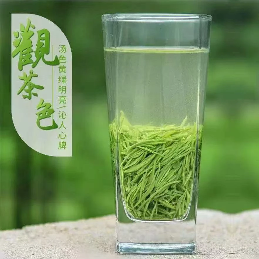 2025年毛尖绿茶茶叶