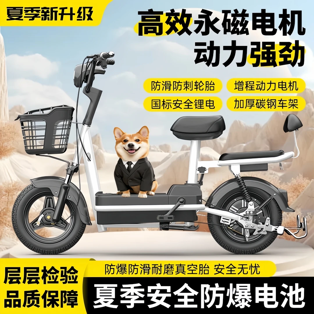 2025电动车新国标男女生时尚代步电瓶车小型式成人电动自行车