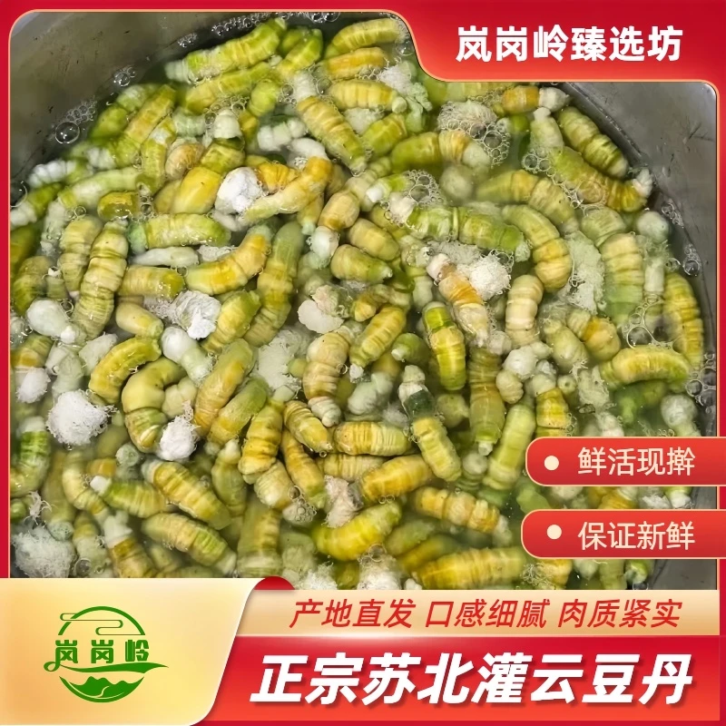 灌云特产纯本地2025年新豆丹顺丰发货冷链运输