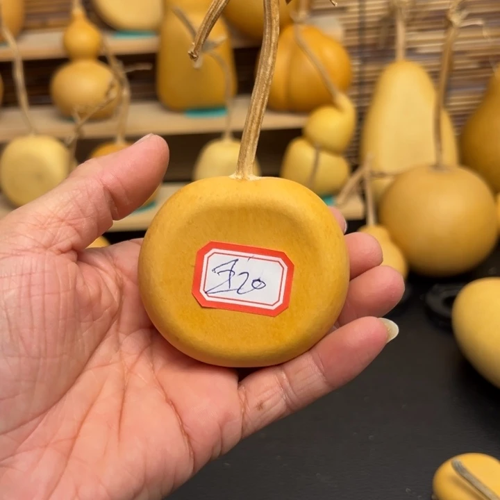 王*维566666665888899969