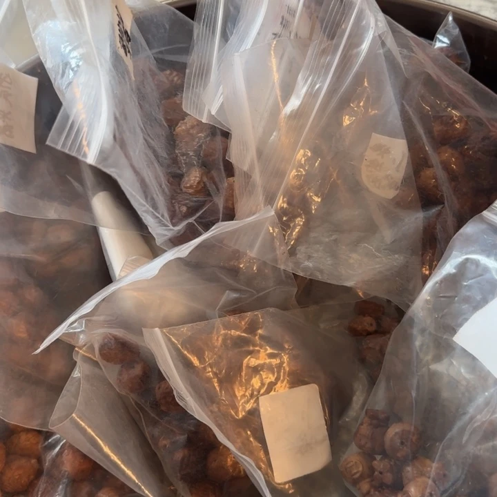 库克手串库克的转转猪