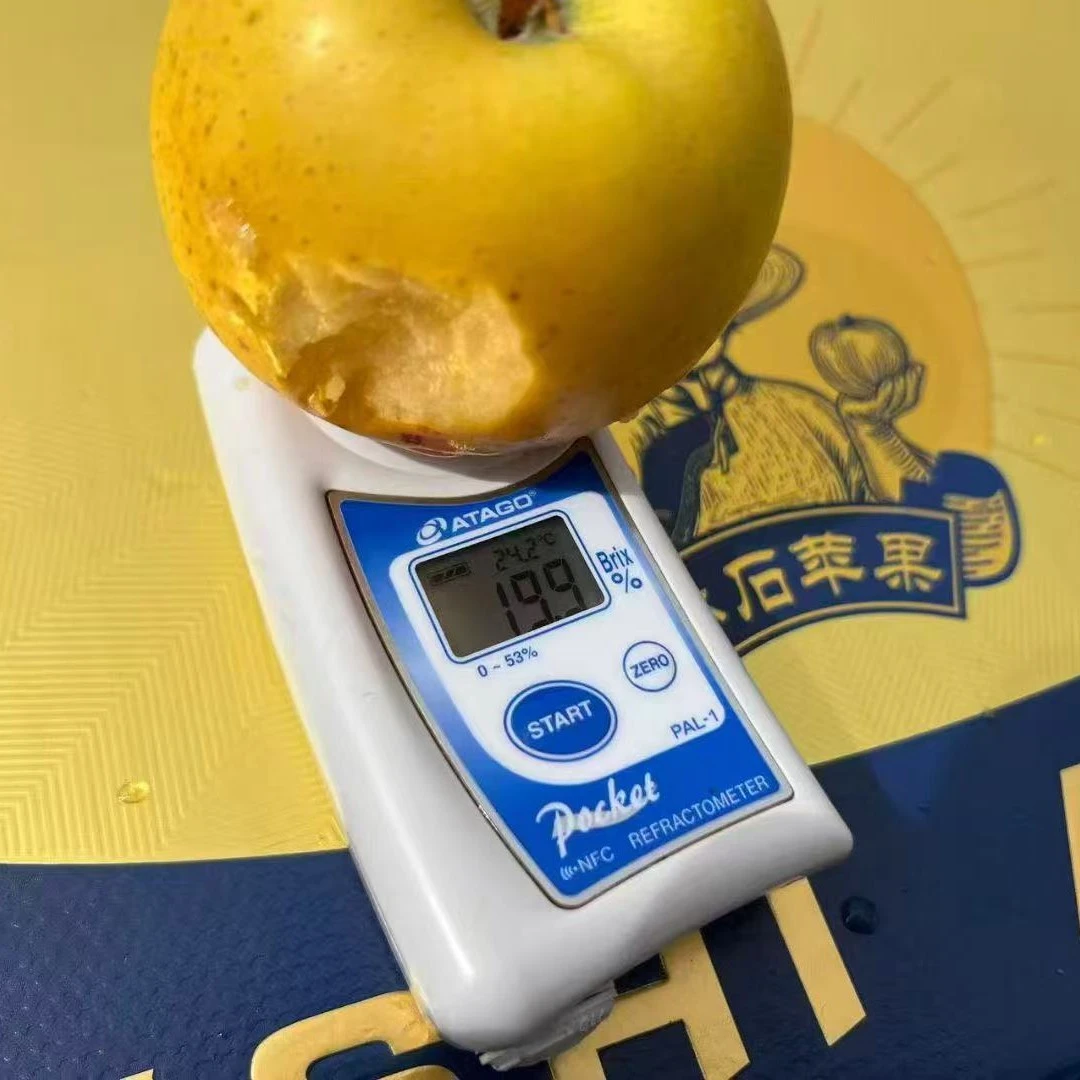 【顺丰次日达】黄胖子黄金维纳斯苹果脆香甜一口一个惊艳山东省