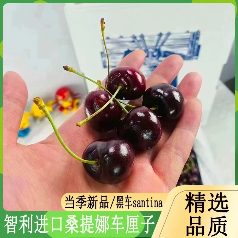 【5斤原箱】智利都乐进口桑提娜海运车厘子内附果径卡J-4J桑提娜智利