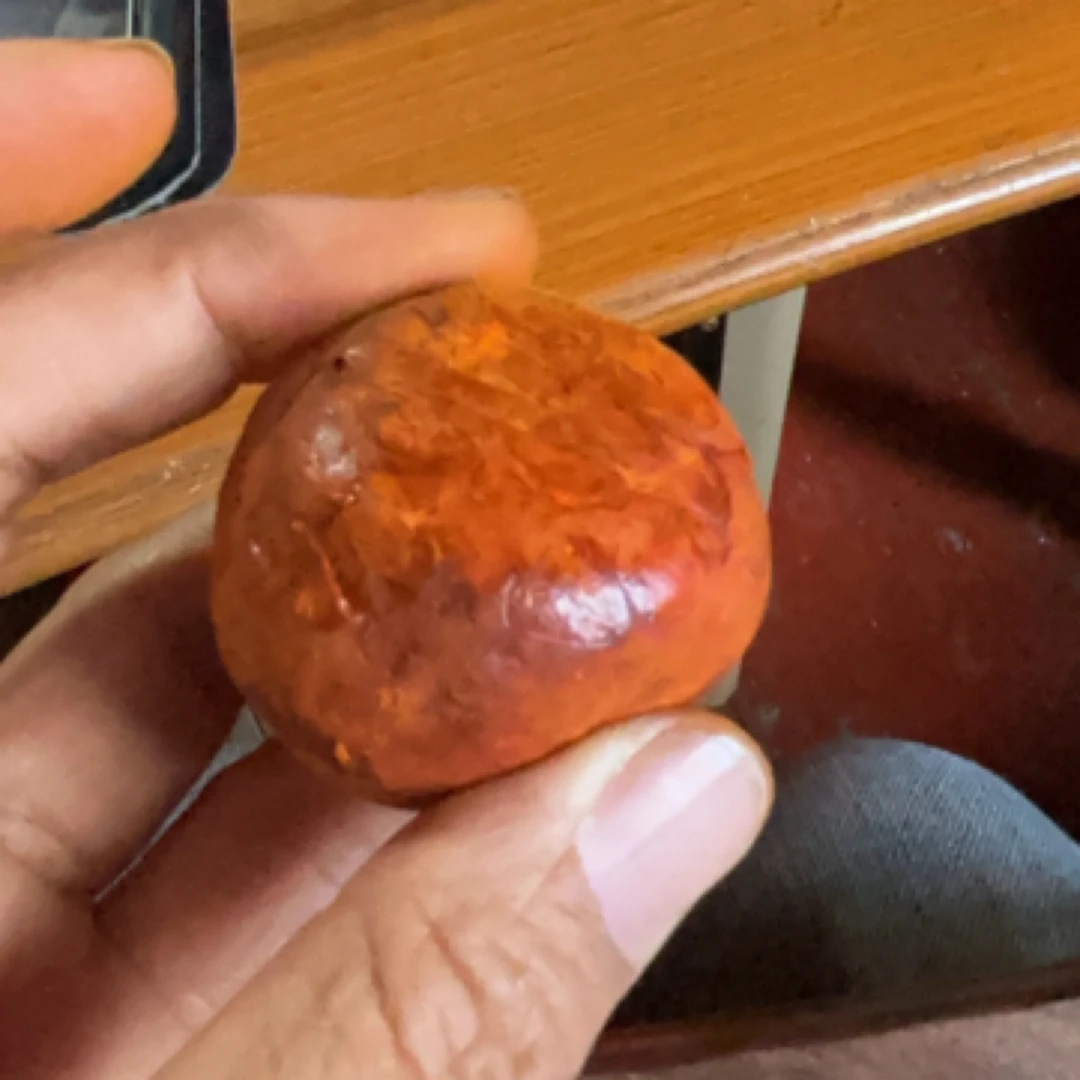 瑞农土特产 牛簧菇