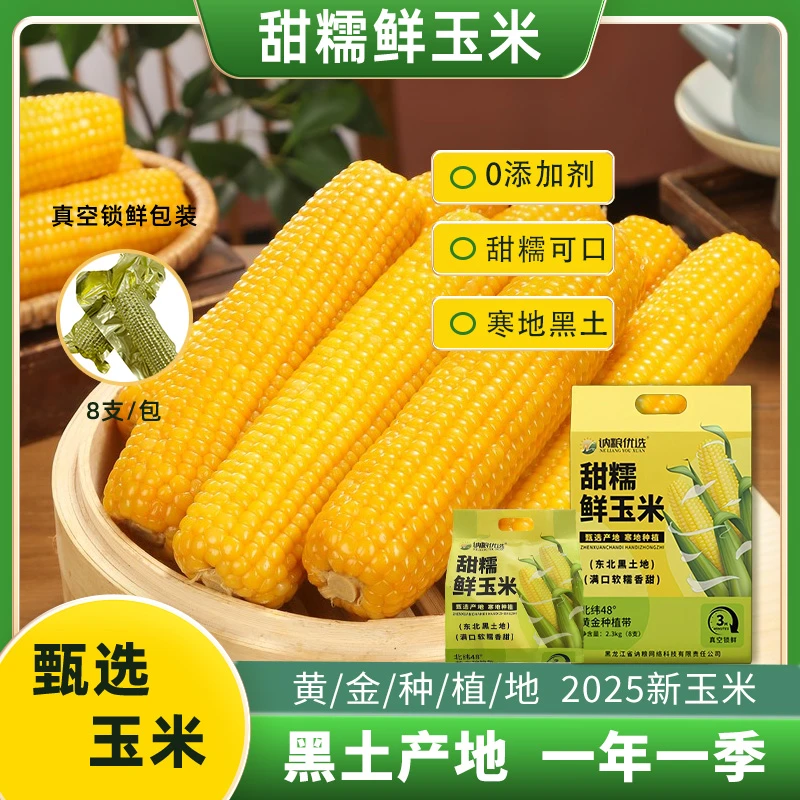 【2025头茬黄糯 试吃两根 】鲜玉米真空独立袋装8根软糯香甜