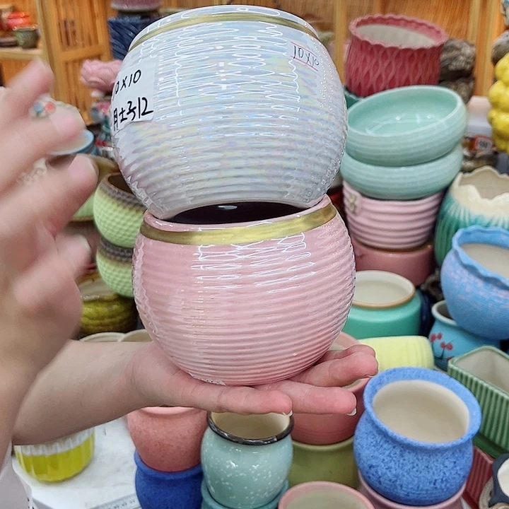 多肉植物陶瓷花盆