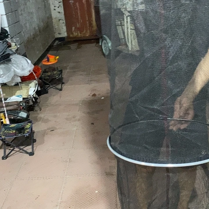 圆30×2米鱼护随机发一个无包
