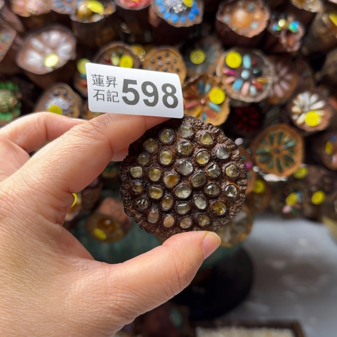 哇***噜核桃木/黑胡桃（胡桃木）598