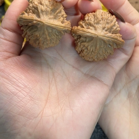 文玩核桃吊坠30皇冠