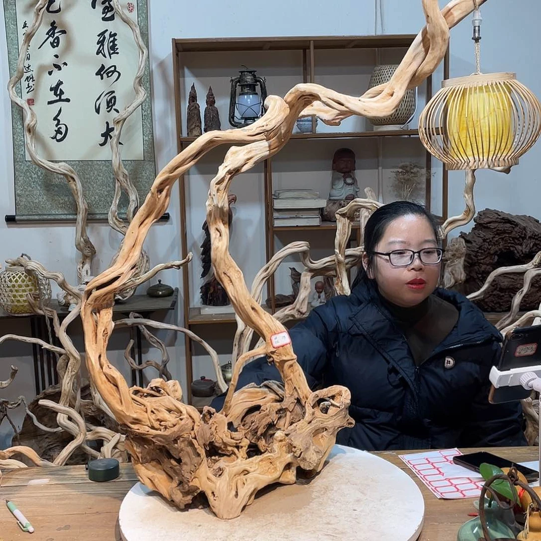 柏木杜鹃根根艺摆件