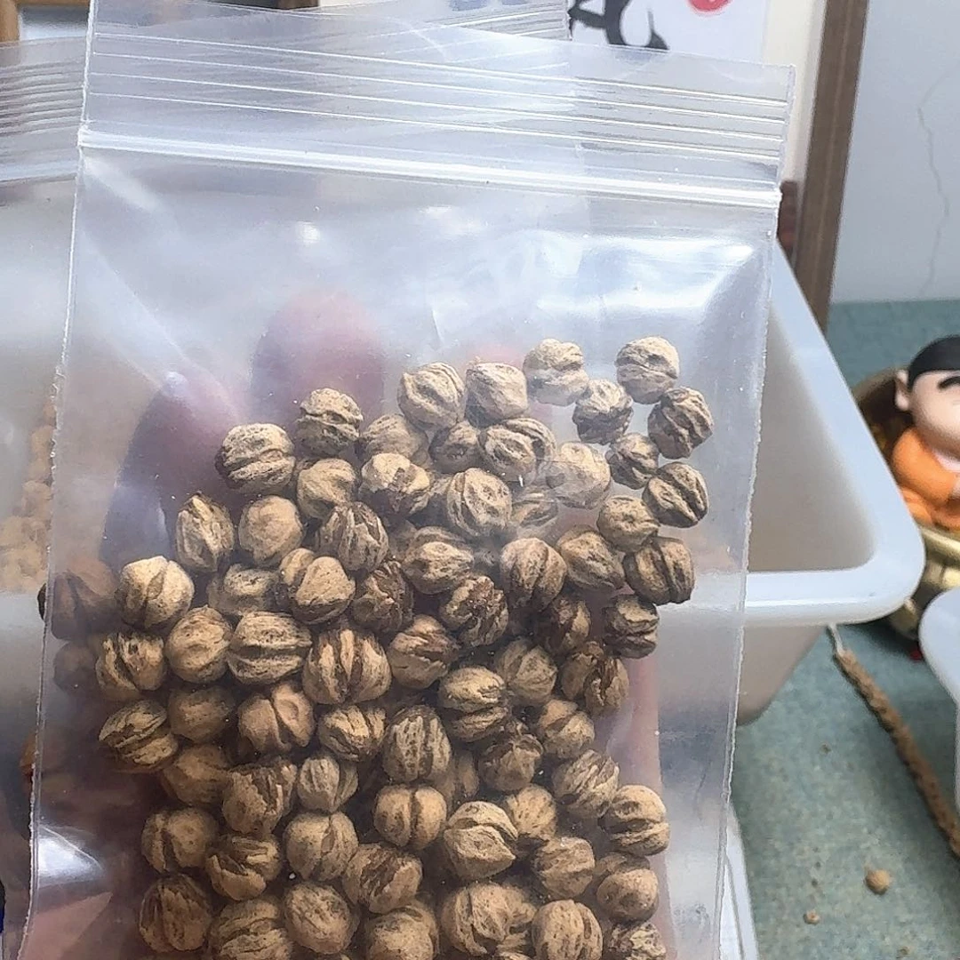 柏香籽/百香籽吊坠幽**划