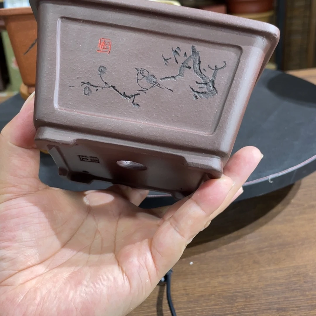 紫砂花盆紫砂花盆在这里